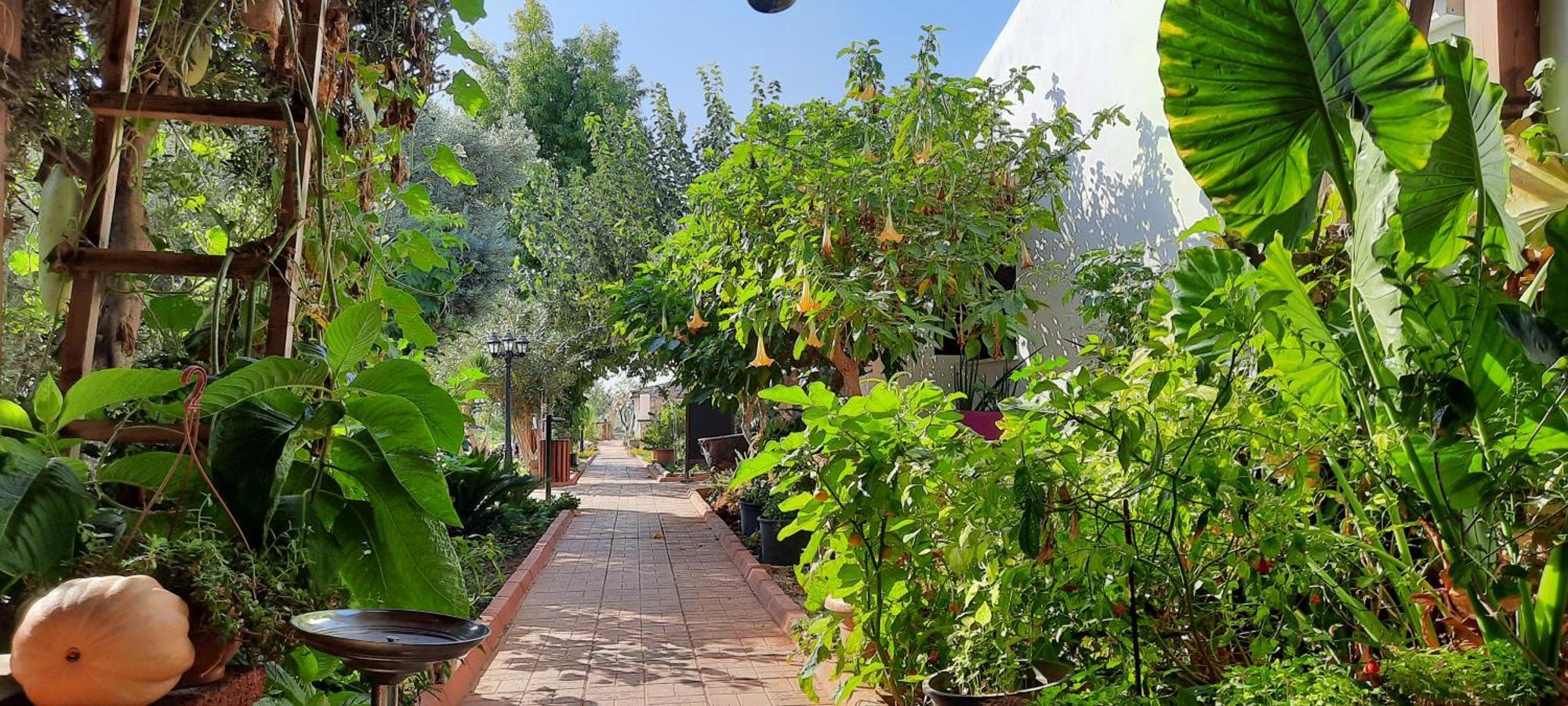 Apartamento Osman Aga Culture House Famagusta  Exterior foto